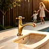 Basin Sink Faucet